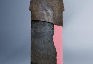 Göktürk Inscription Discovered in Nomgon Valley